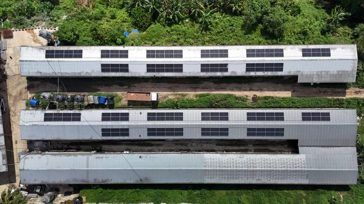 Poultry Farm with Power Instability, Sabah
