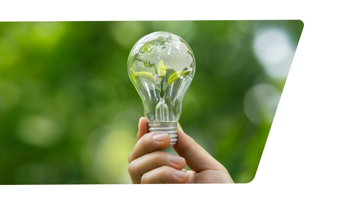 Lightbulb cradling a young plant — clean energy that grows life.
